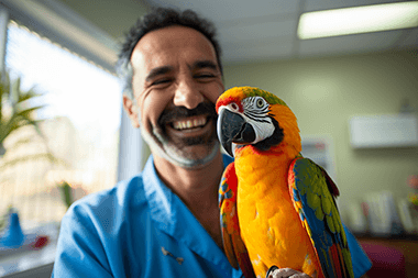 More than Dogs & Cats